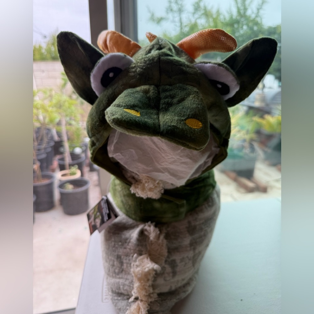 Green Dragon Dog Costume